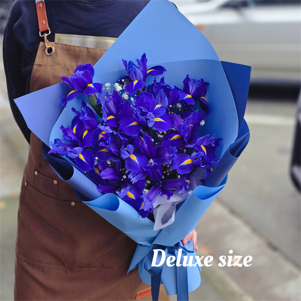Bouquet of #Iris