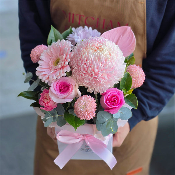 Lovely Melody