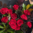 12 Freedom Red Roses Bouquet