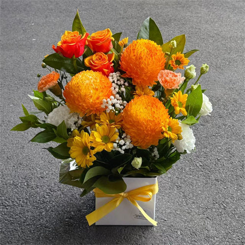 Florist Choice Posy Box Arrangement - Set your Budget & Colour