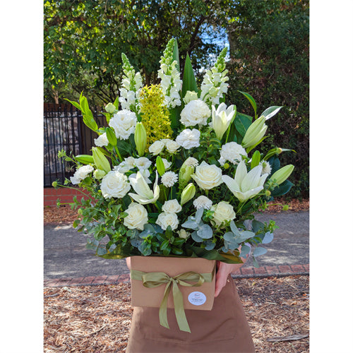 Florist Choice Posy Box Arrangement - Set your Budget & Colour