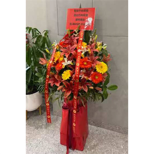 Business Opening Flowers - Traditional 1.5m 墨尔本传统开业花篮