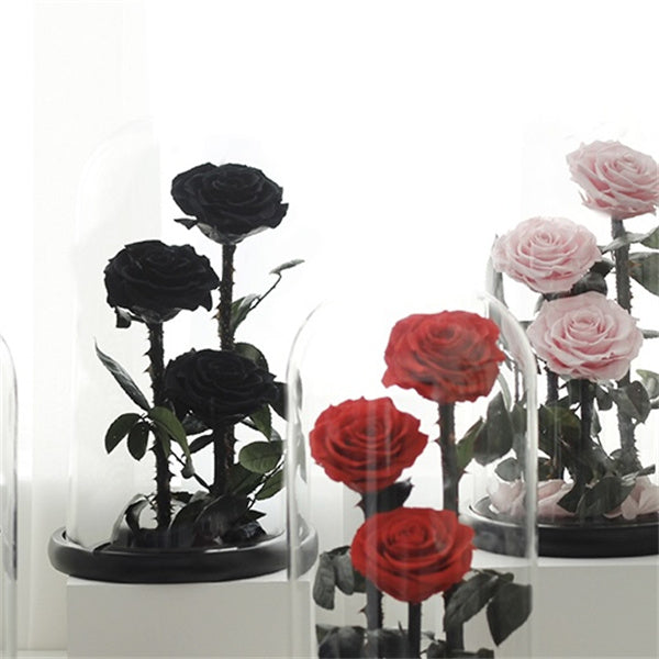 3 Stems Black Everlasting Rose Glass Dome (30cm)丨Preserved Flowers丨Dry Flowers Melbourne