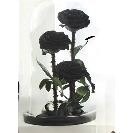 Preserved 3 Stems Black Rose Glass Dome (30cm)