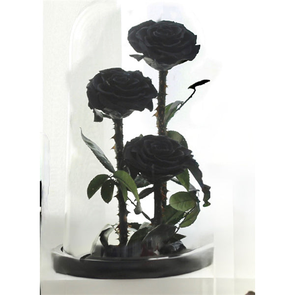 black roses