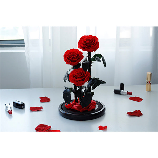 3 Stems Everlasting Preserved Red Rose Glass Dome (30cm)丨Preserved Flowers丨Dry Flowers Melbourne