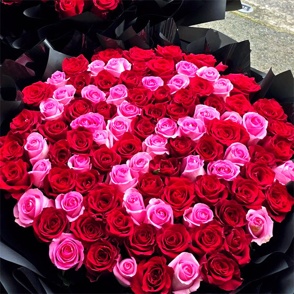 99 Red & Pink Roses