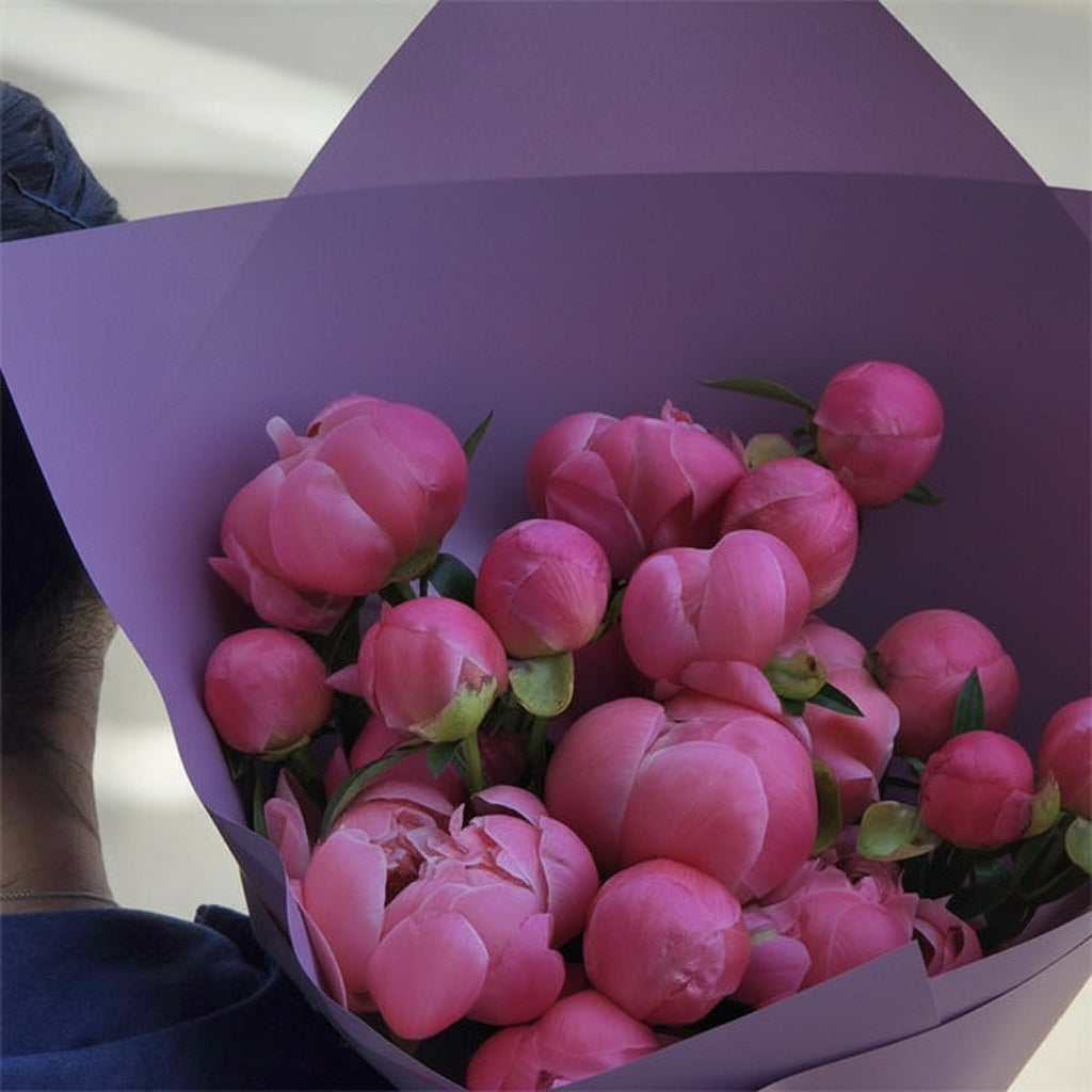 20 Coral Peonies