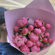 20 Coral Peonies