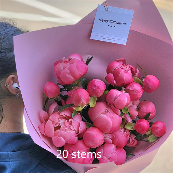 10 Coral Peonies