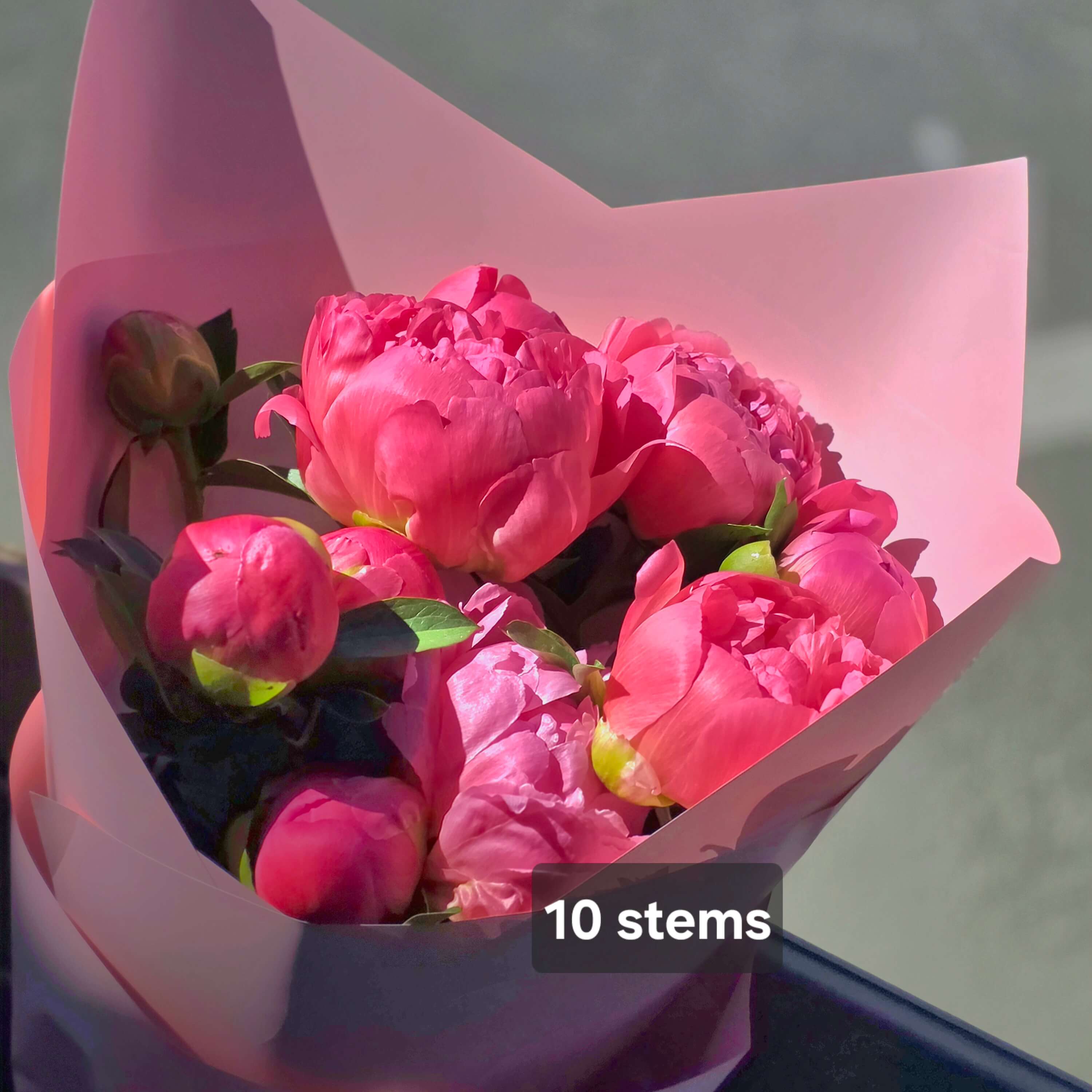 10 Coral Peonies