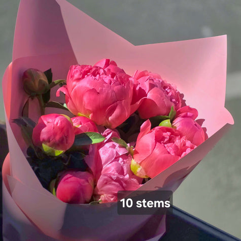 10 Coral Peonies