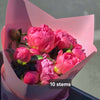 10 Coral Peonies