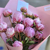 20 Sarah Peonies