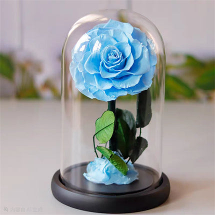 Single Stem Everlasting Preserved Ice Blue Rose Glass Dome (20cmH)丨Preserved Flowers丨Dry Flowers Melbourne