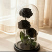 3 Stems Black Everlasting Rose Glass Dome (30cm)丨Preserved Flowers丨Dry Flowers Melbourne