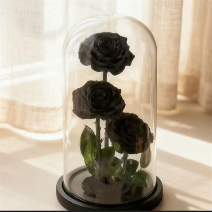 3 Stems Black Everlasting Rose Glass Dome (30cm)丨Preserved Flowers丨Dry Flowers Melbourne