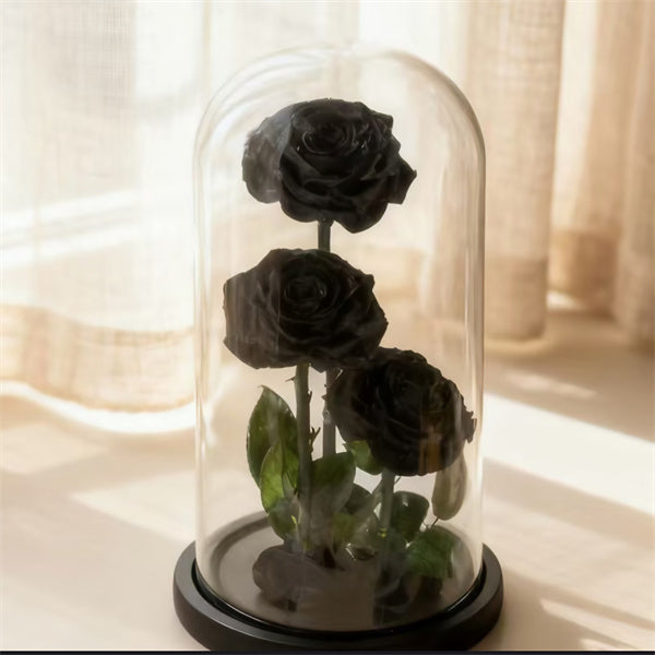 3 Stems Black Everlasting Rose Glass Dome (30cm)丨Preserved Flowers丨Dry Flowers Melbourne