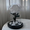 Single Stem Everlasting Preserved White Rose Glass Dome (20cmH)丨Preserved Flowers丨Dry Flowers Melbourne
