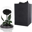 Single Stem Everlasting Preserved Black Rose Glass Dome (20cmH)丨Preserved Flowers丨Dry Flowers Melbourne