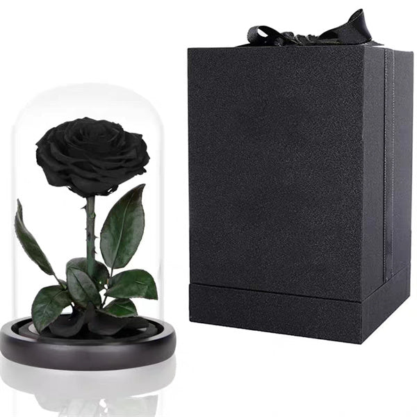 Single Stem Everlasting Preserved Black Rose Glass Dome (20cmH)丨Preserved Flowers丨Dry Flowers Melbourne