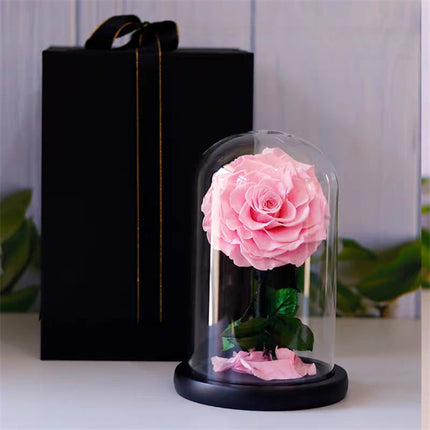 Single Stem Everlasting Preserved Pink Rose Glass Dome (20cmH)丨Preserved Flowers丨Dry Flowers Melbourne