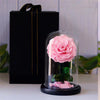 Single Stem Everlasting Preserved Pink Rose Glass Dome (20cmH)丨Preserved Flowers丨Dry Flowers Melbourne