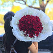 33 Red Roses & Gyp Bouquet