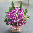 Singapore Orchids Box #Pink Deluxe