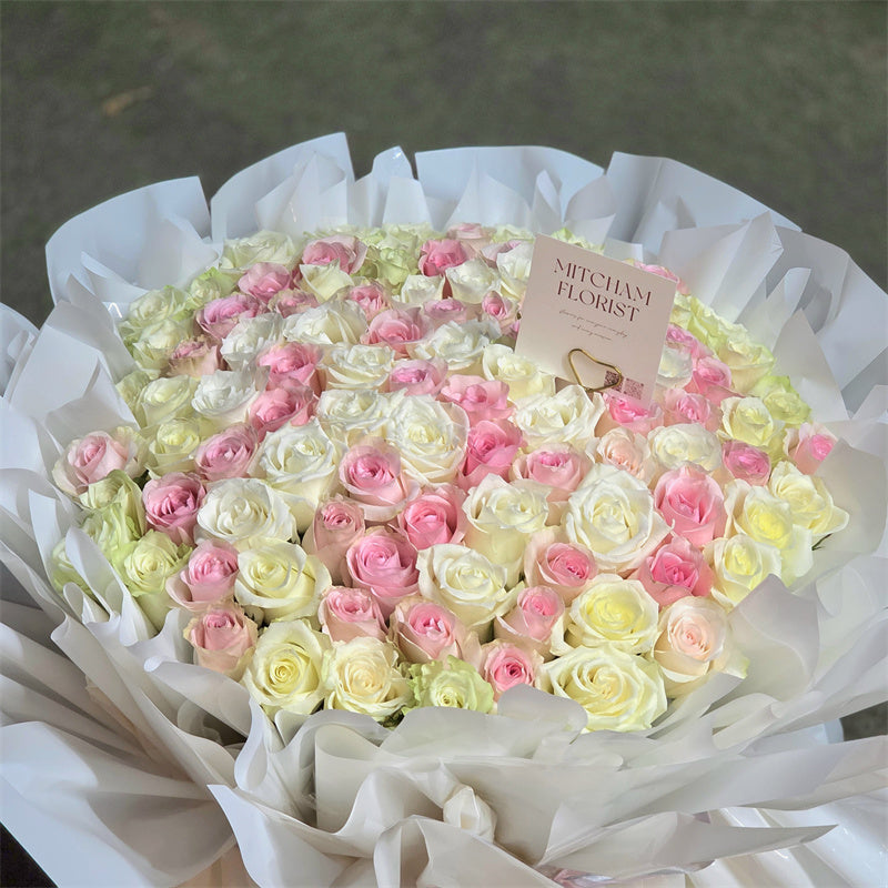 99 White & Pink Roses