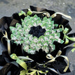 $100 AUD Style #11丨Cash Flowers丨Money Flowers丨澳币现金花