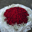 99 Roses & Baby's Breaths Bouquet (White Wrapping)
