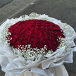 99 Roses & Baby's Breaths Bouquet (White Wrapping)