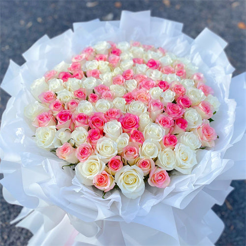 99 White & Pink Roses – Mitcham Florist