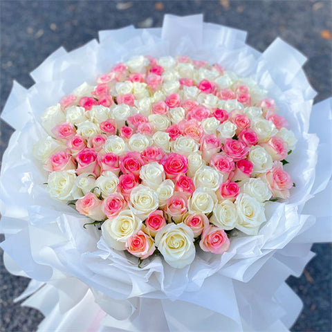 99 White & Pink Roses
