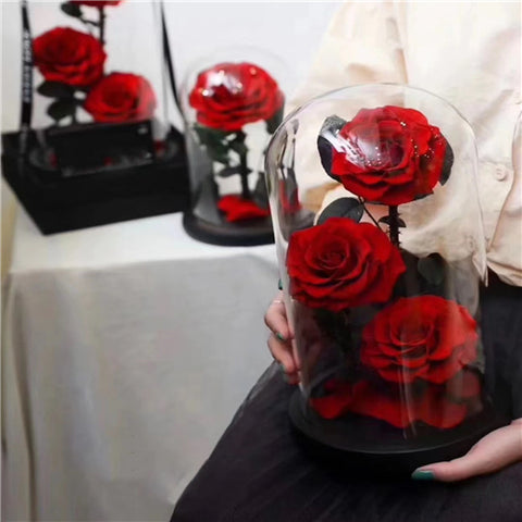 Preserved 3 Stems Red Rose Glass Dome (30cm)