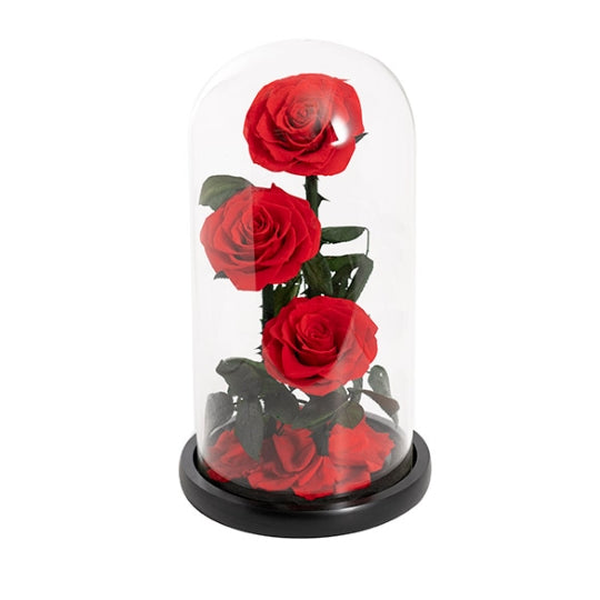 3 Stems Everlasting Preserved Red Rose Glass Dome (30cm)丨Preserved Flowers丨Dry Flowers Melbourne