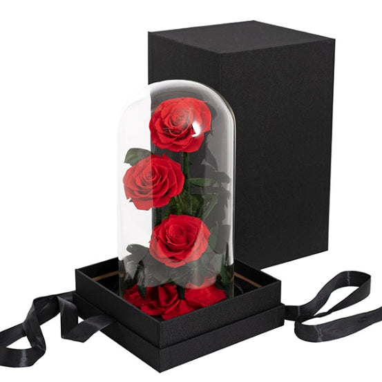 3 Stems Everlasting Preserved Red Rose Glass Dome (30cm)丨Preserved Flowers丨Dry Flowers Melbourne