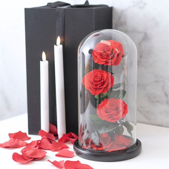 3 Stems Everlasting Preserved Red Rose Glass Dome (30cm)丨Preserved Flowers丨Dry Flowers Melbourne