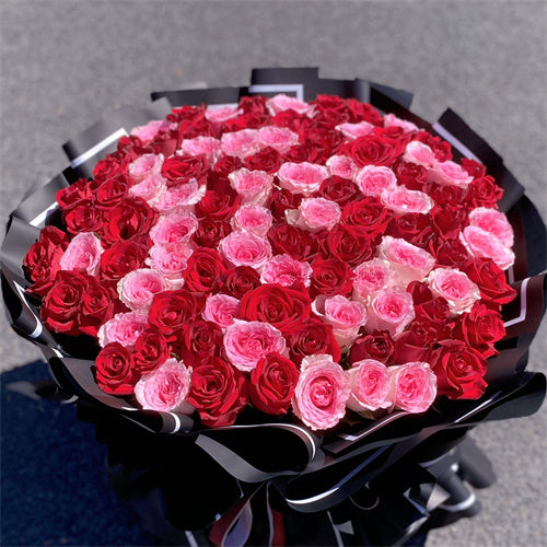 99 Red & Pink Roses