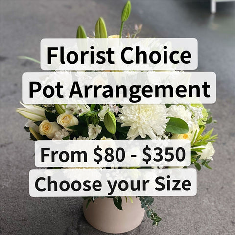 Florist Choice Pot Arrangement ($80 - $350)