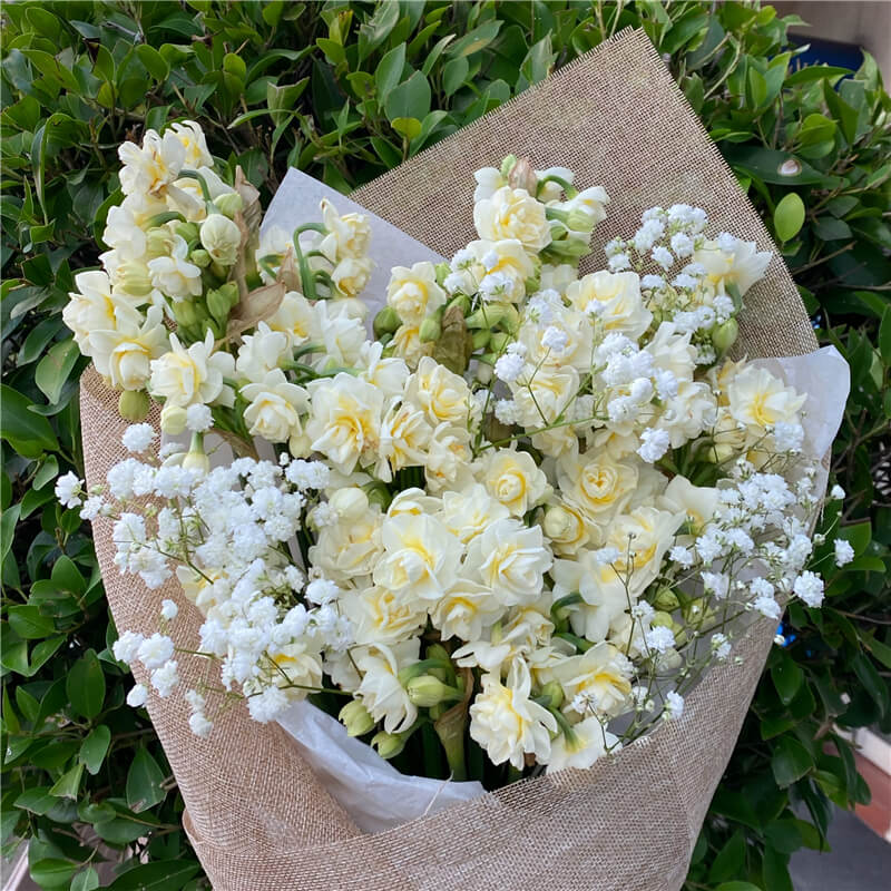 Paper Whites & Gyp Bouquet
