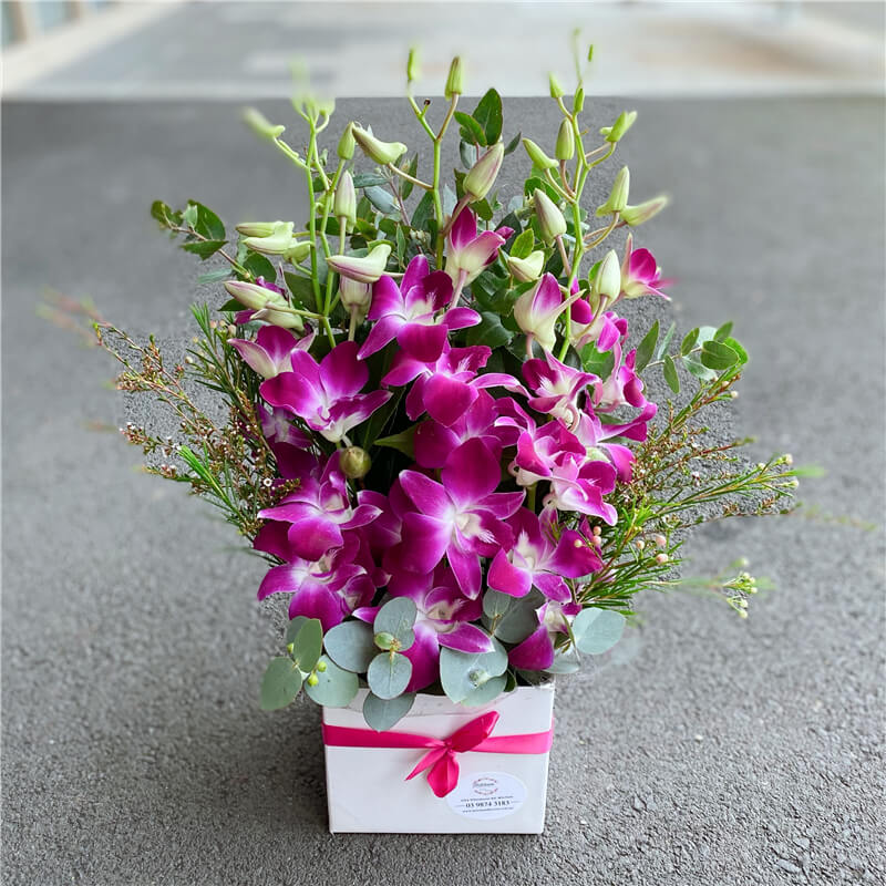 Singapore Orchids Box #Pink Small