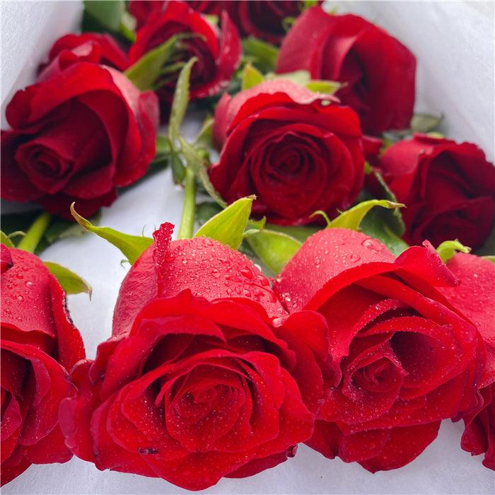 12 Roses Gift Box (more colour) - Mitcham Central Flowers