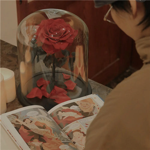 Single Stem Everlasting Preserved Rose Glass Dome (20cmH)丨Preserved Flowers丨Dry Flowers Melbourne