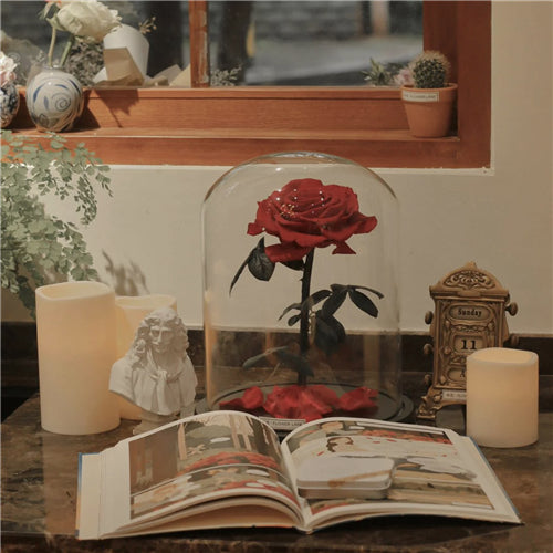 Single Stem Everlasting Preserved Rose Glass Dome (20cmH)丨Preserved Flowers丨Dry Flowers Melbourne