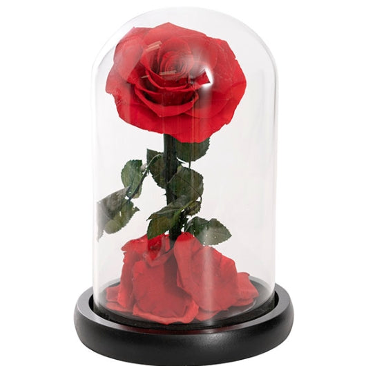Single Stem Everlasting Preserved Rose Glass Dome (20cmH)丨Preserved Flowers丨Dry Flowers Melbourne