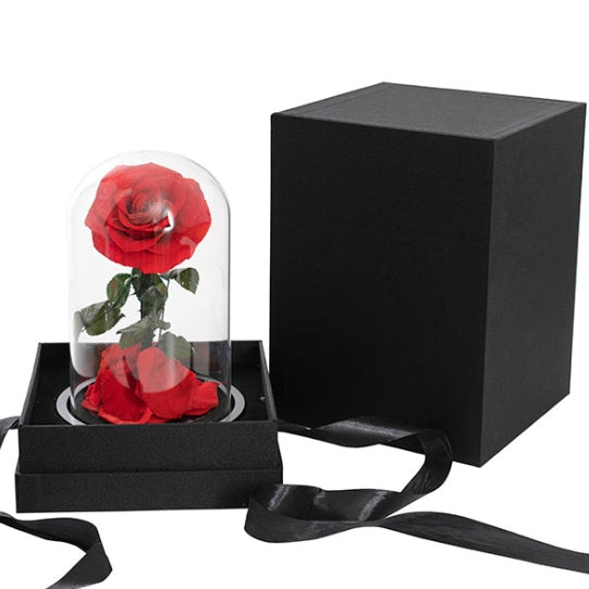 Single Stem Everlasting Preserved Rose Glass Dome (20cmH)丨Preserved Flowers丨Dry Flowers Melbourne
