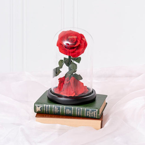 Single Stem Everlasting Preserved Rose Glass Dome (20cmH)丨Preserved Flowers丨Dry Flowers Melbourne