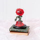 Preserved Single Stem Rose Red (20cmH)